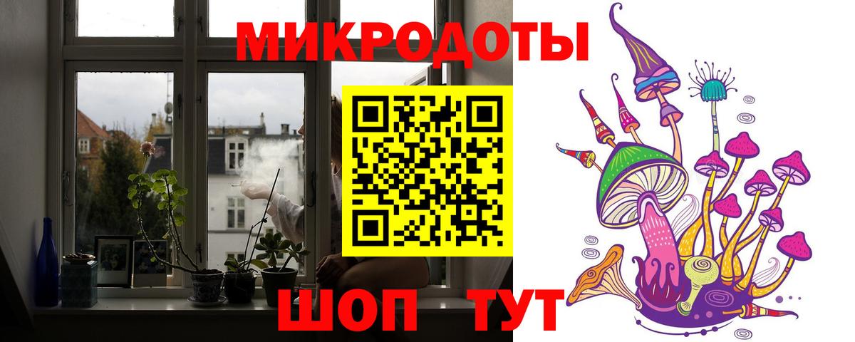 Галлюциногенные грибы Psilocybine cubensis  Вход с VPN  Губаха 