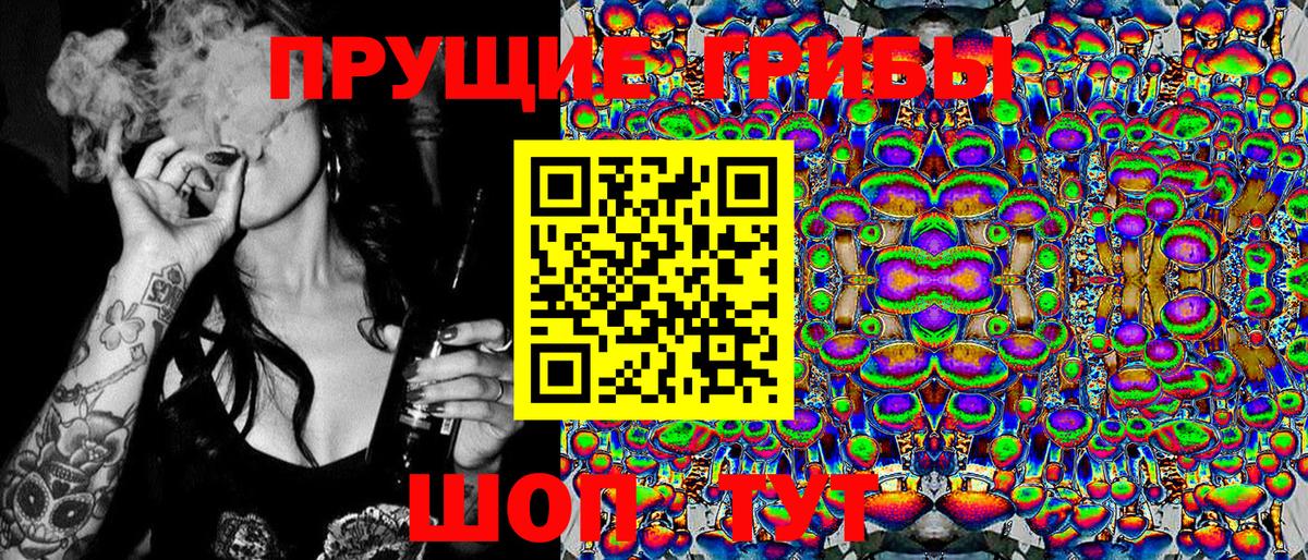 Псилоцибиновые грибы прущие грибы Губаха