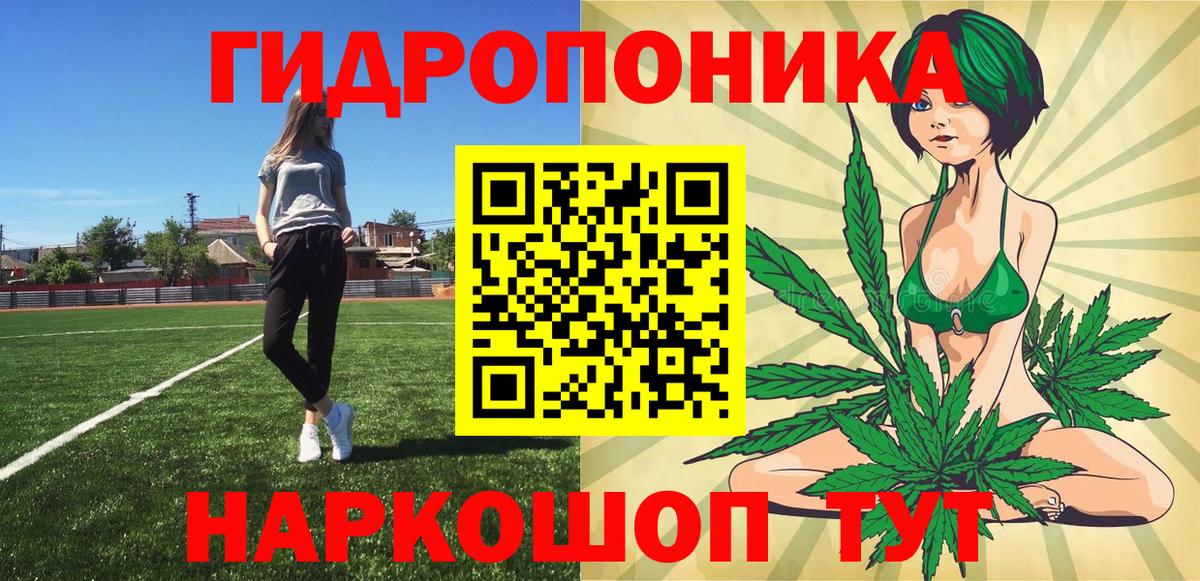 Каннабис сатива Губаха